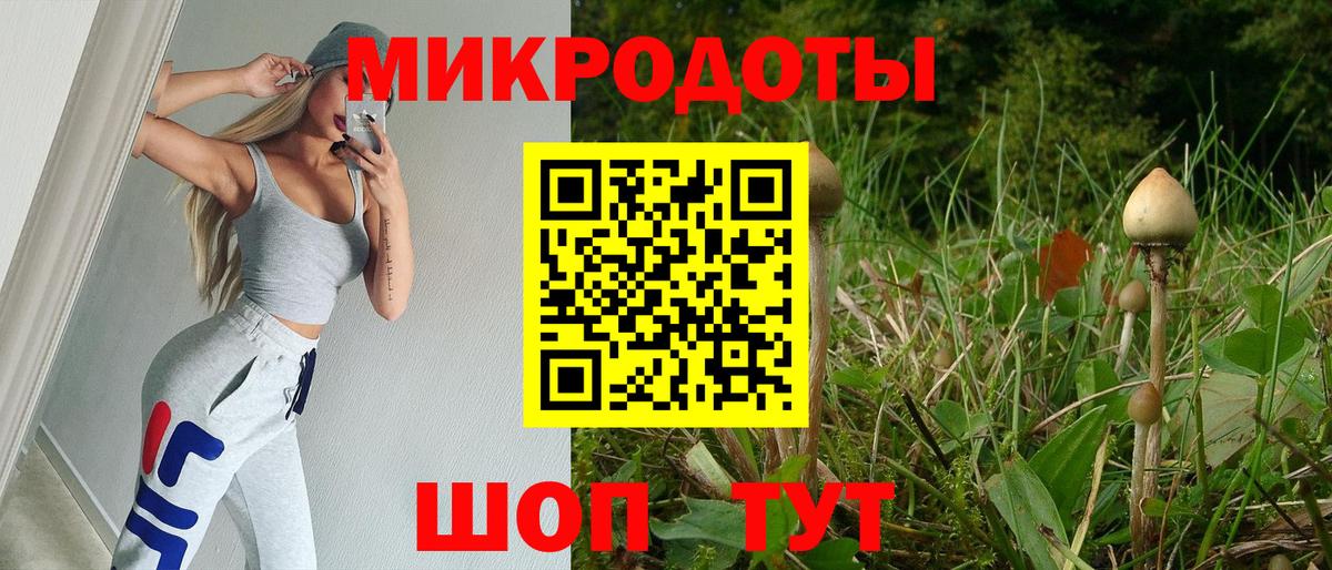 Псилоцибиновые грибы мицелий Сердобск