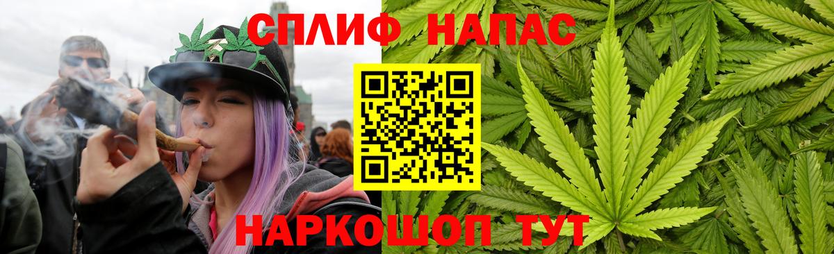 Марихуана план Сердобск